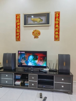 Pro Ktv MK3 Karaoke Package B