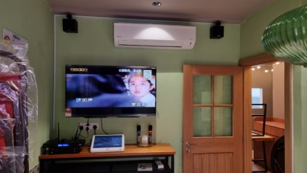 Pro Ktv SK210 MK3 Compact Audio System 全能音响